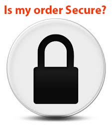 Read more about order processing security